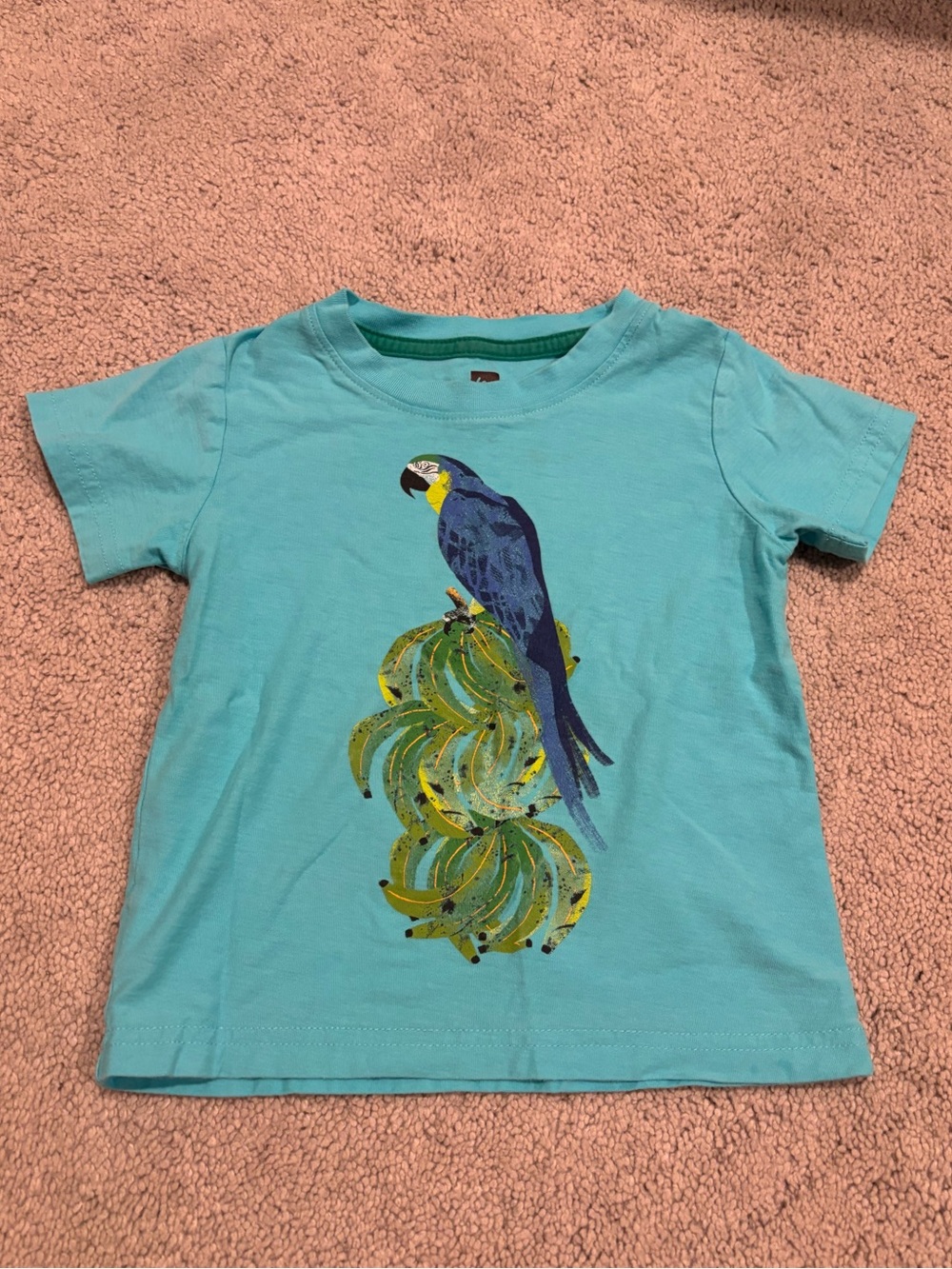 Tea Collection Turquoise Parrot Graphic Tee